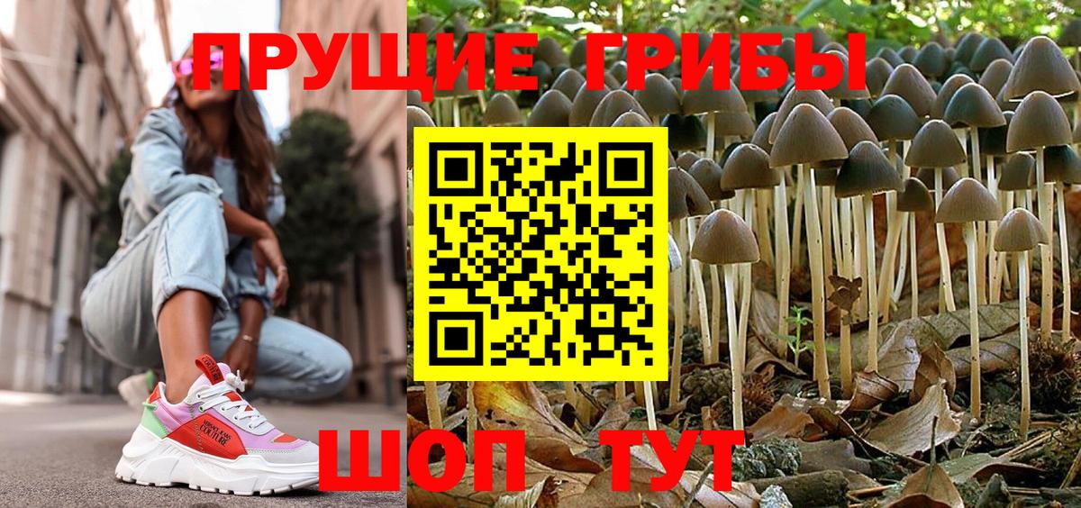 Кохма  Галлюциногенные грибы MAGIC MUSHROOMS  Вход с VPN 