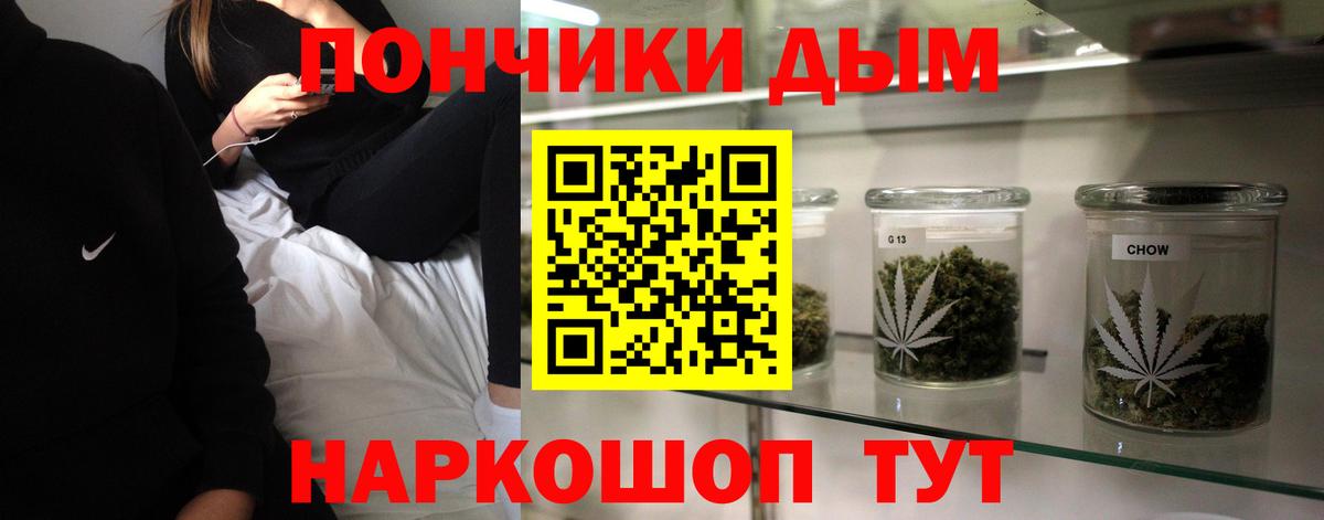 Каннабис OG Kush Кохма